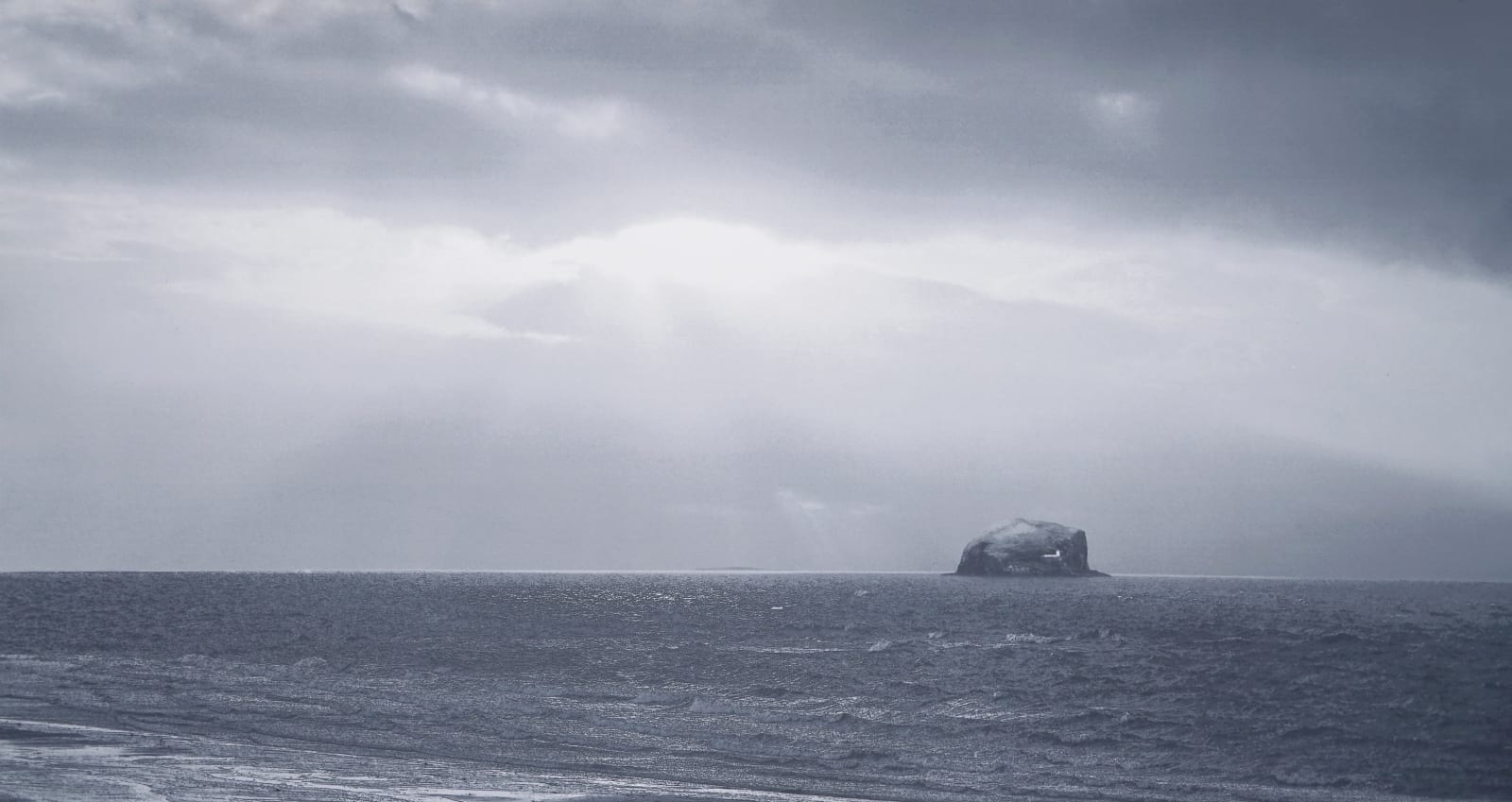 John Mackechnie, Bass Rock, 2024