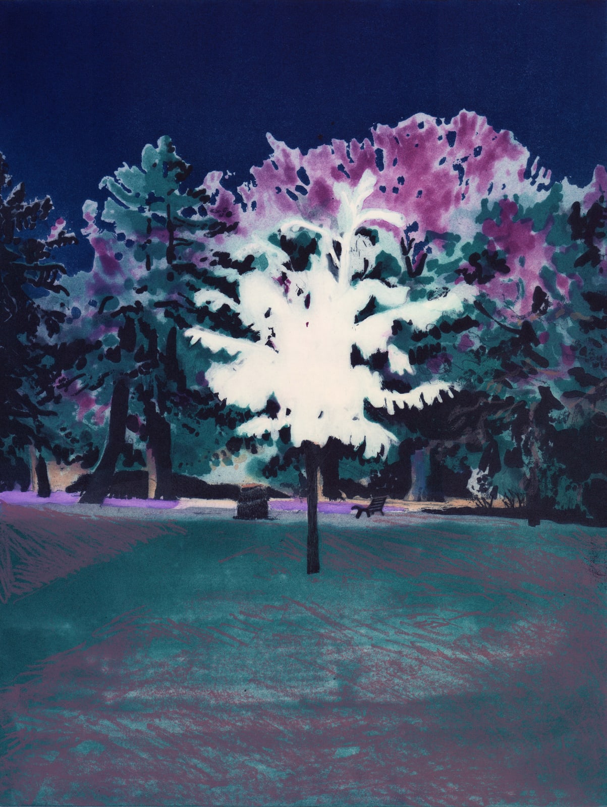 Alistair Gow, Point of Departure, 2023