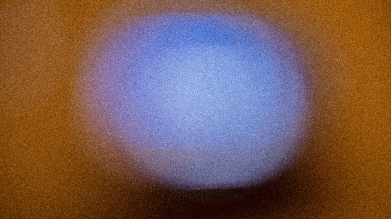 Anne Hamilton & Nikolay Georgiev, Untitled, 2024