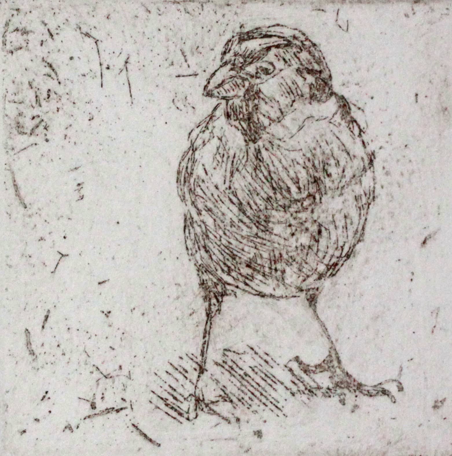 Jane Gardiner, Spug, 2021