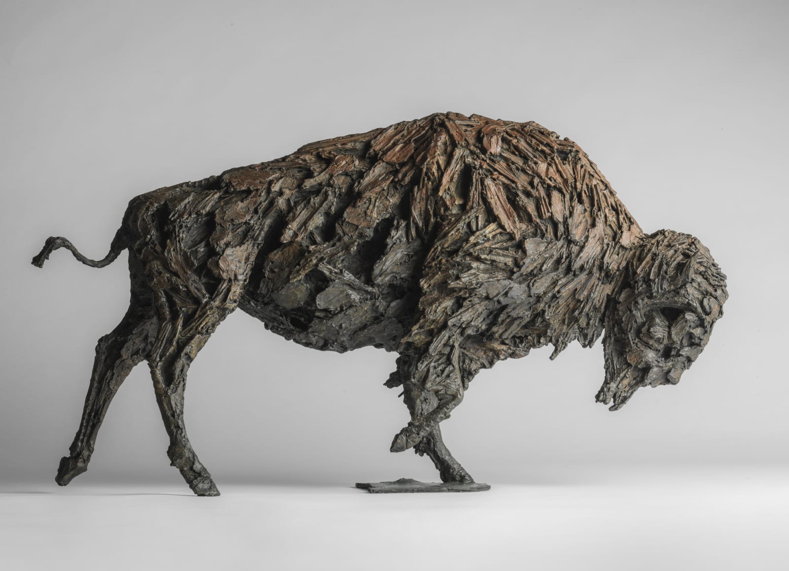 Joseph Paxton, Tatanka