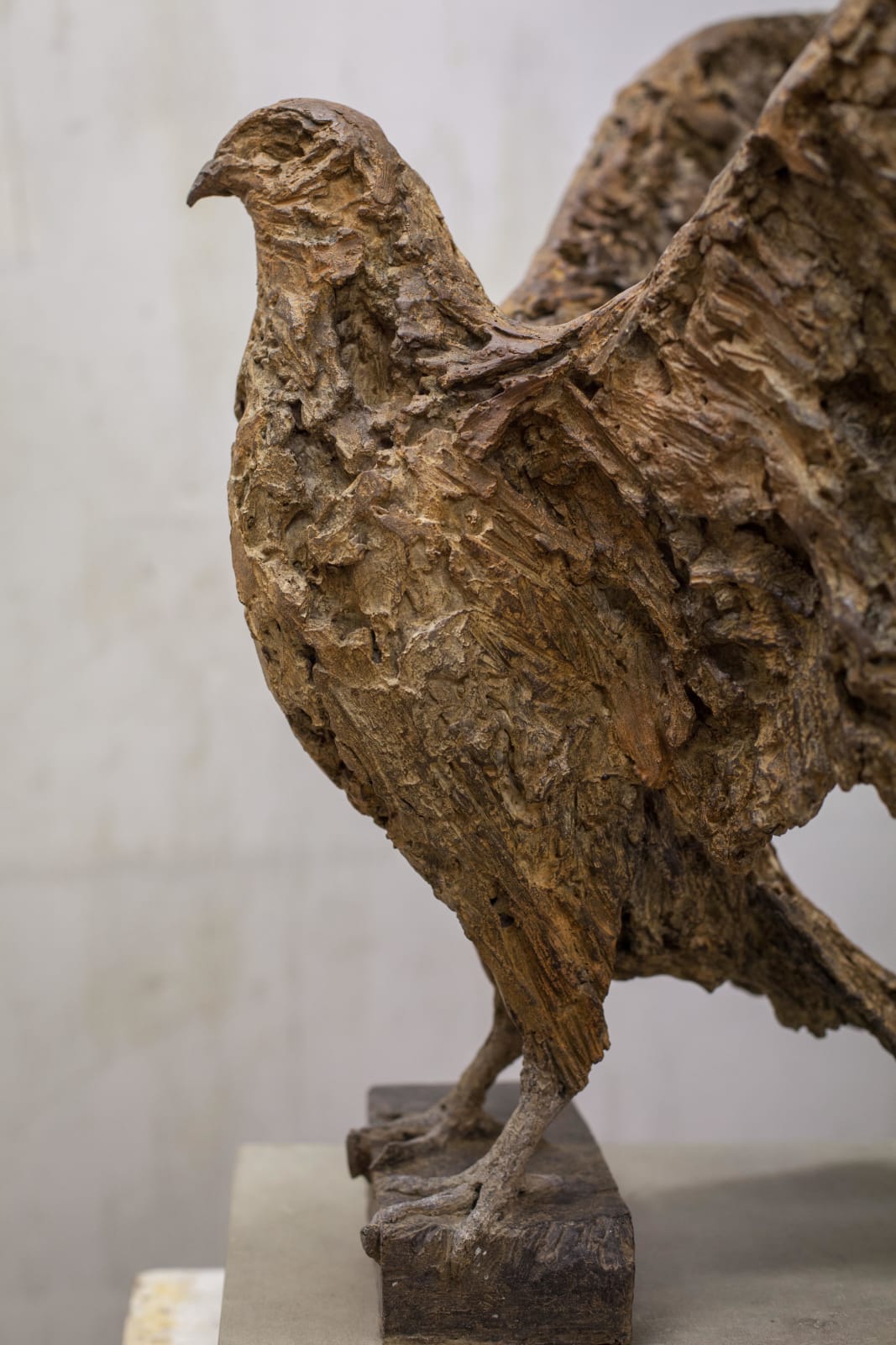 Joseph Paxton, Bird of Prey, 2019