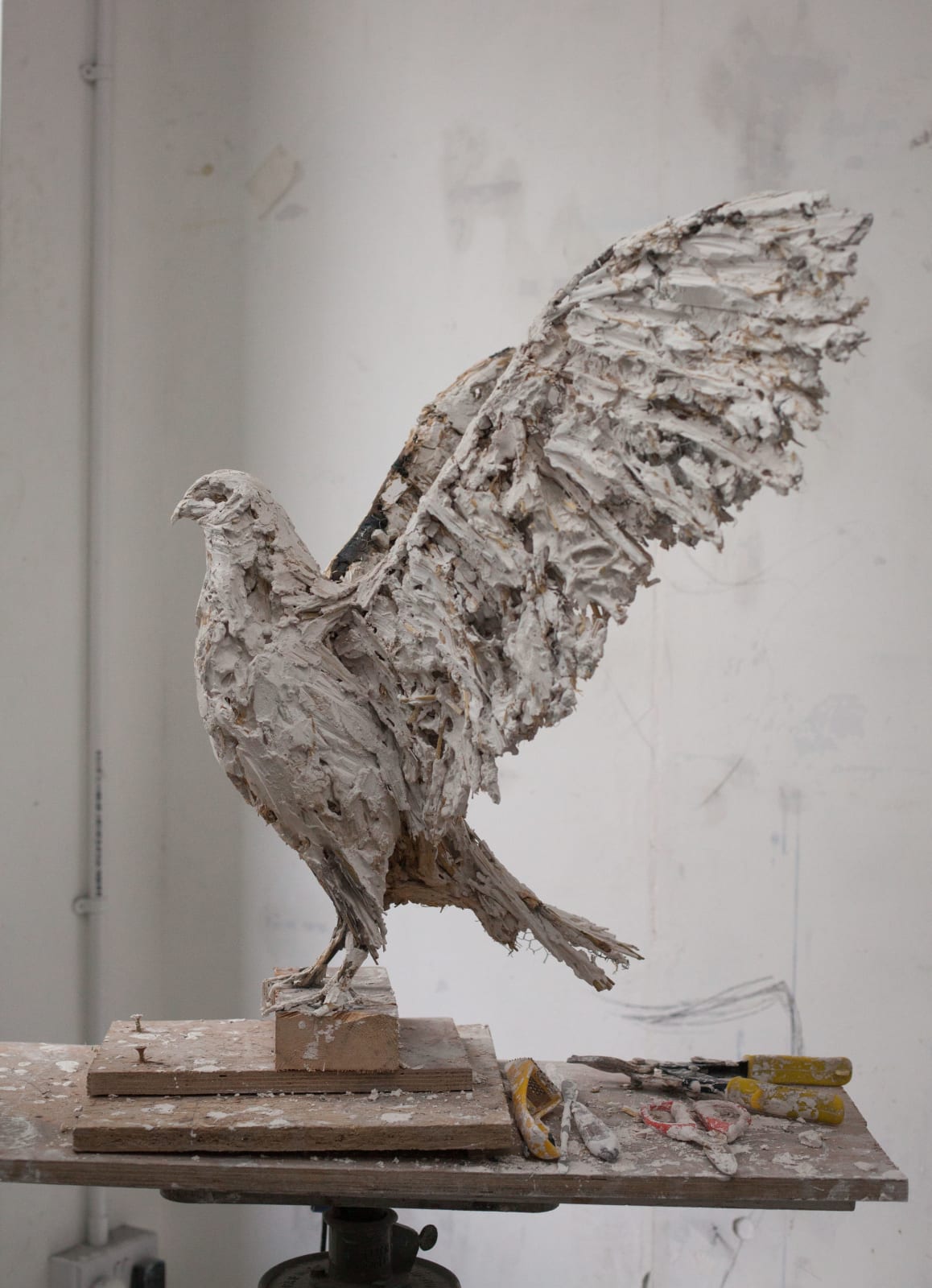 Joseph Paxton, Bird of Prey, 2019