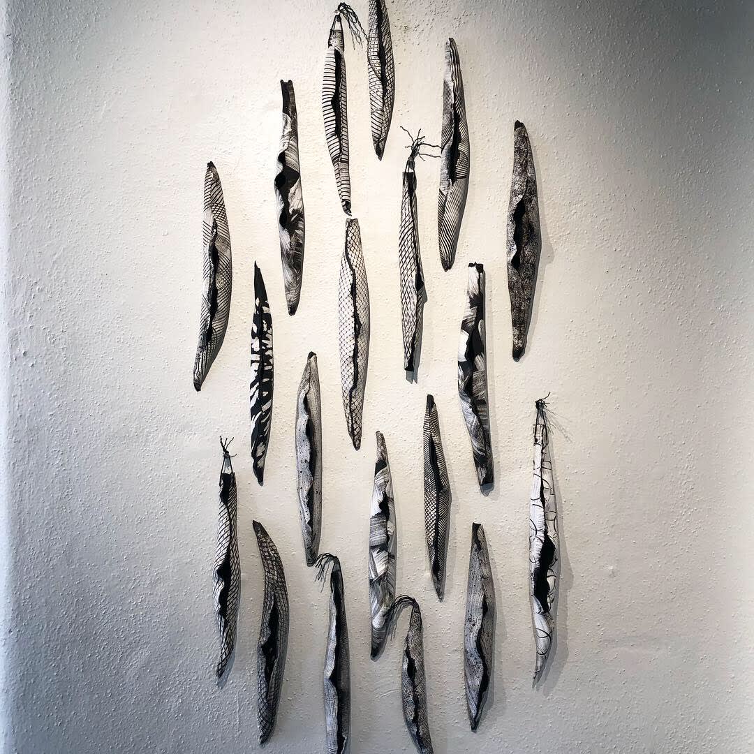Jodi Walsh, Seed Pods