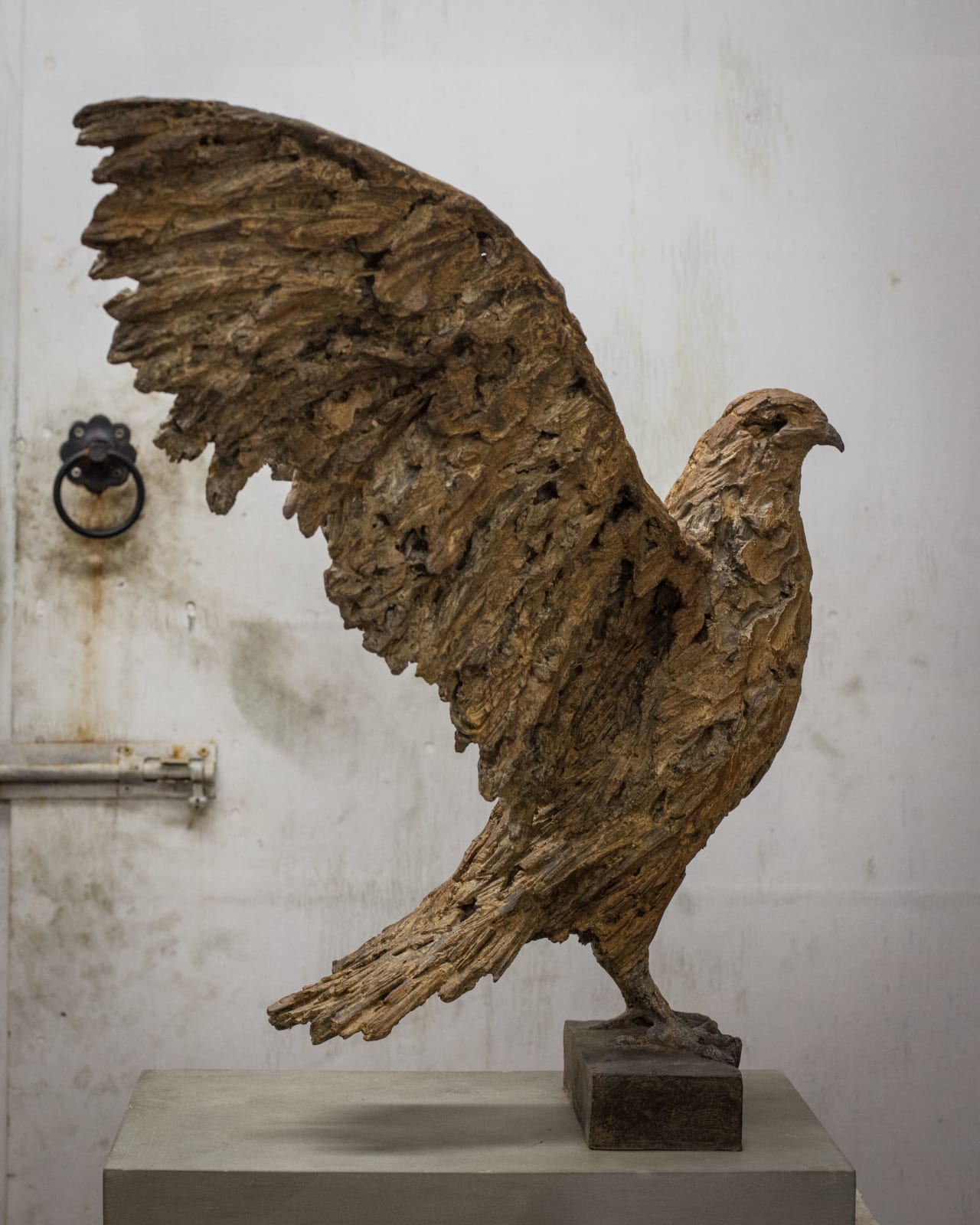 Joseph Paxton, Bird of Prey, 2019