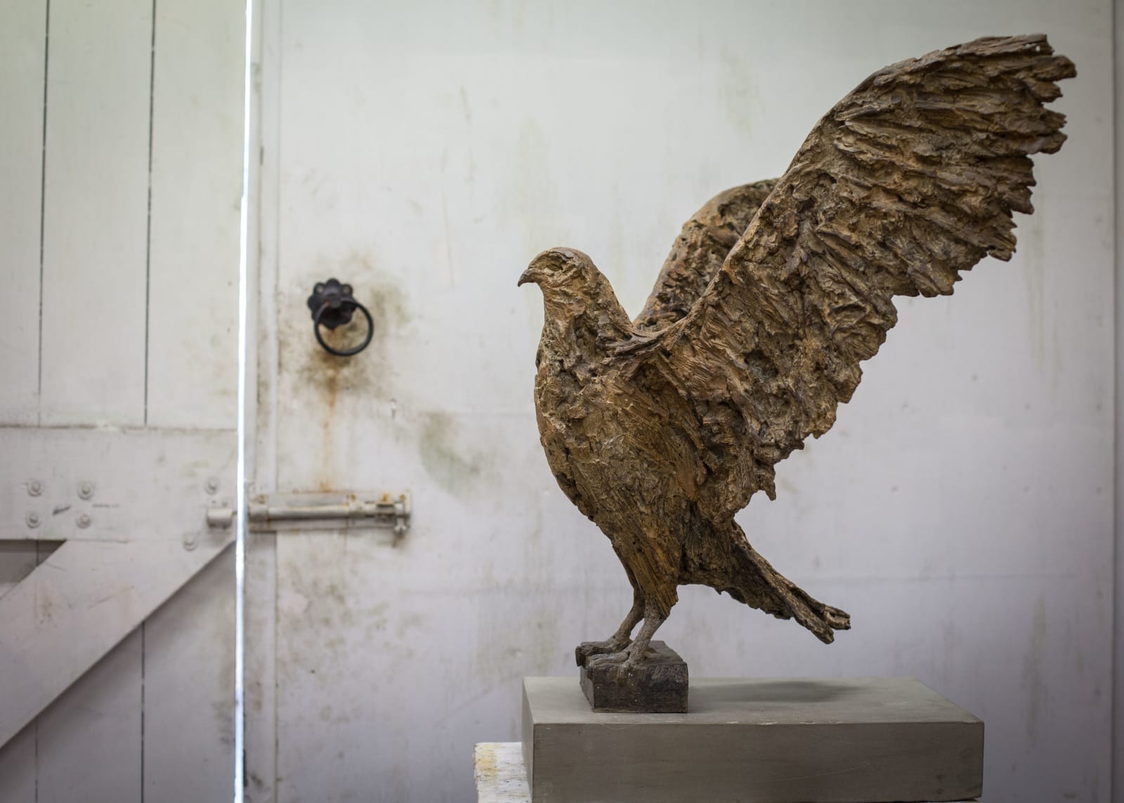 Joseph Paxton, Bird of Prey, 2019