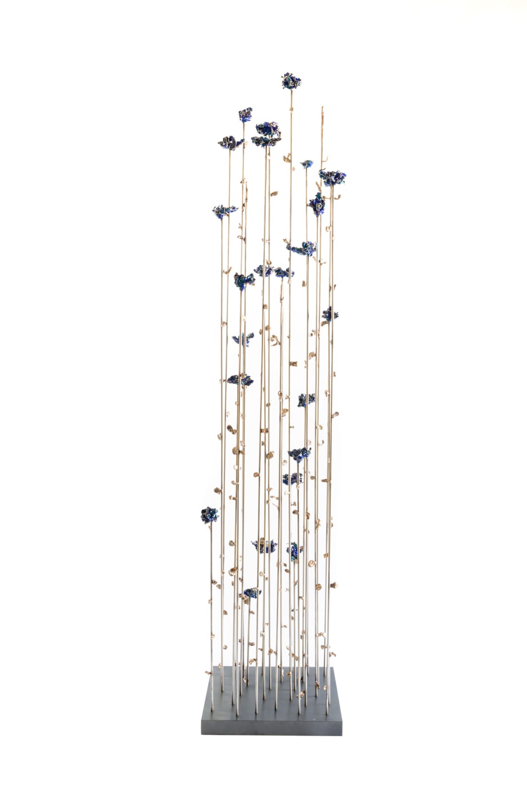 Jennyfer Stratman, In Our Empyreal Garden, 2019