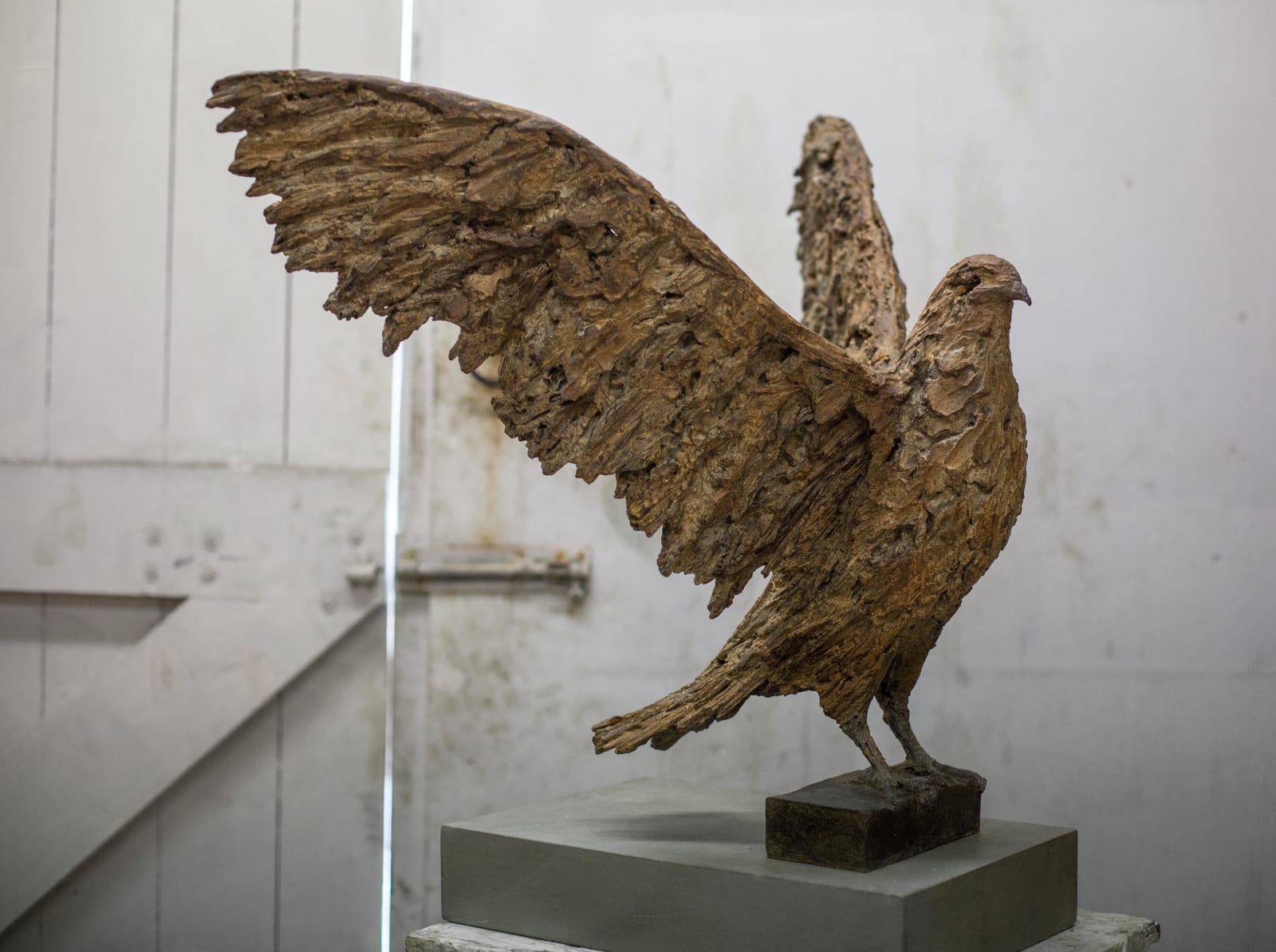 Joseph Paxton, Bird of Prey, 2019