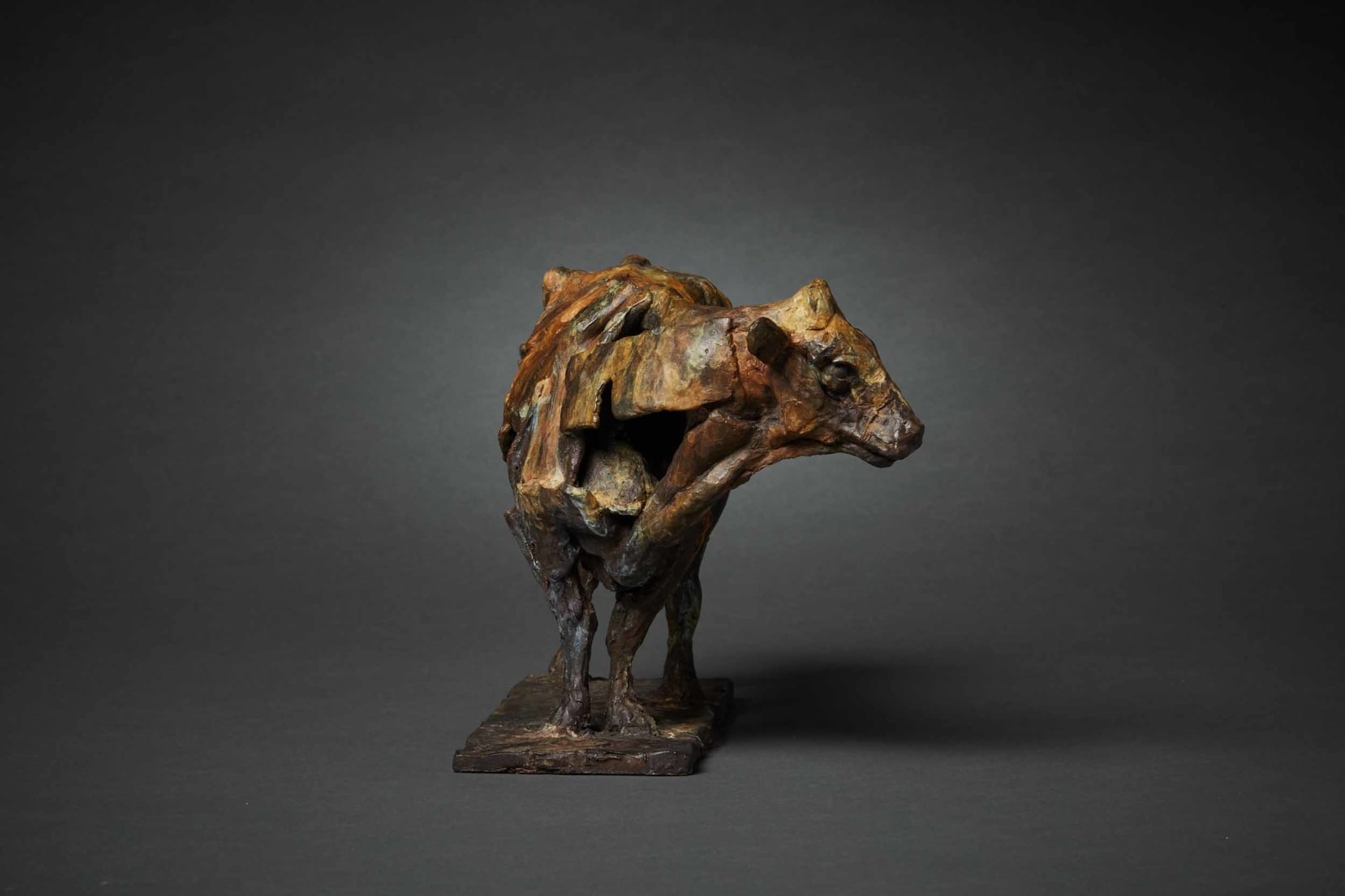 Fred Gordon, Cow