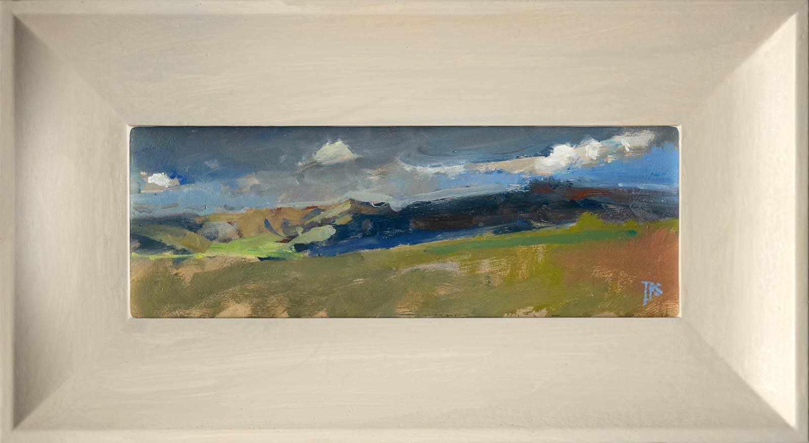Tom Stevenson, The High Moor
