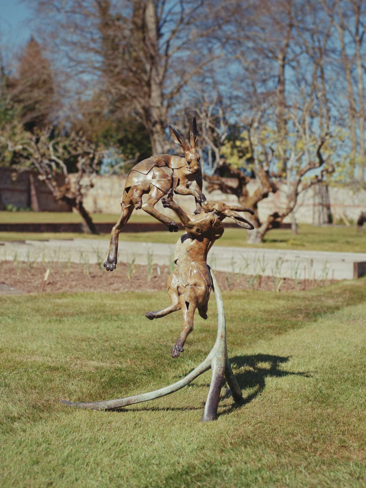Fred Gordon, Boxing Hares
