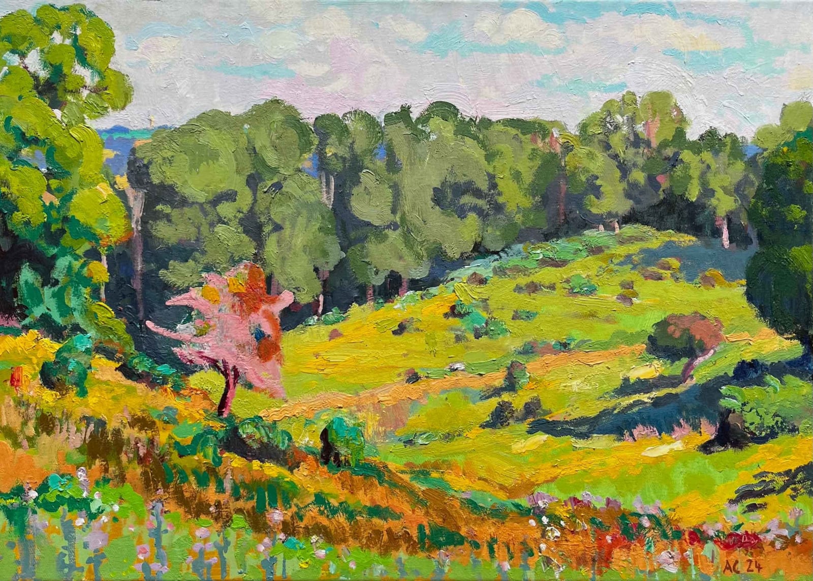 Alex Cree, Auvergne landscape