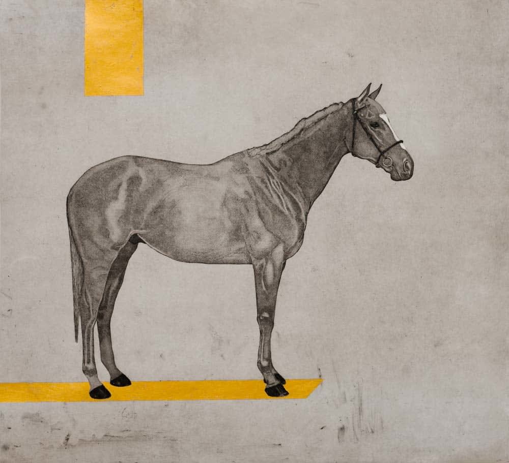 Guy Allen, The Winner #2