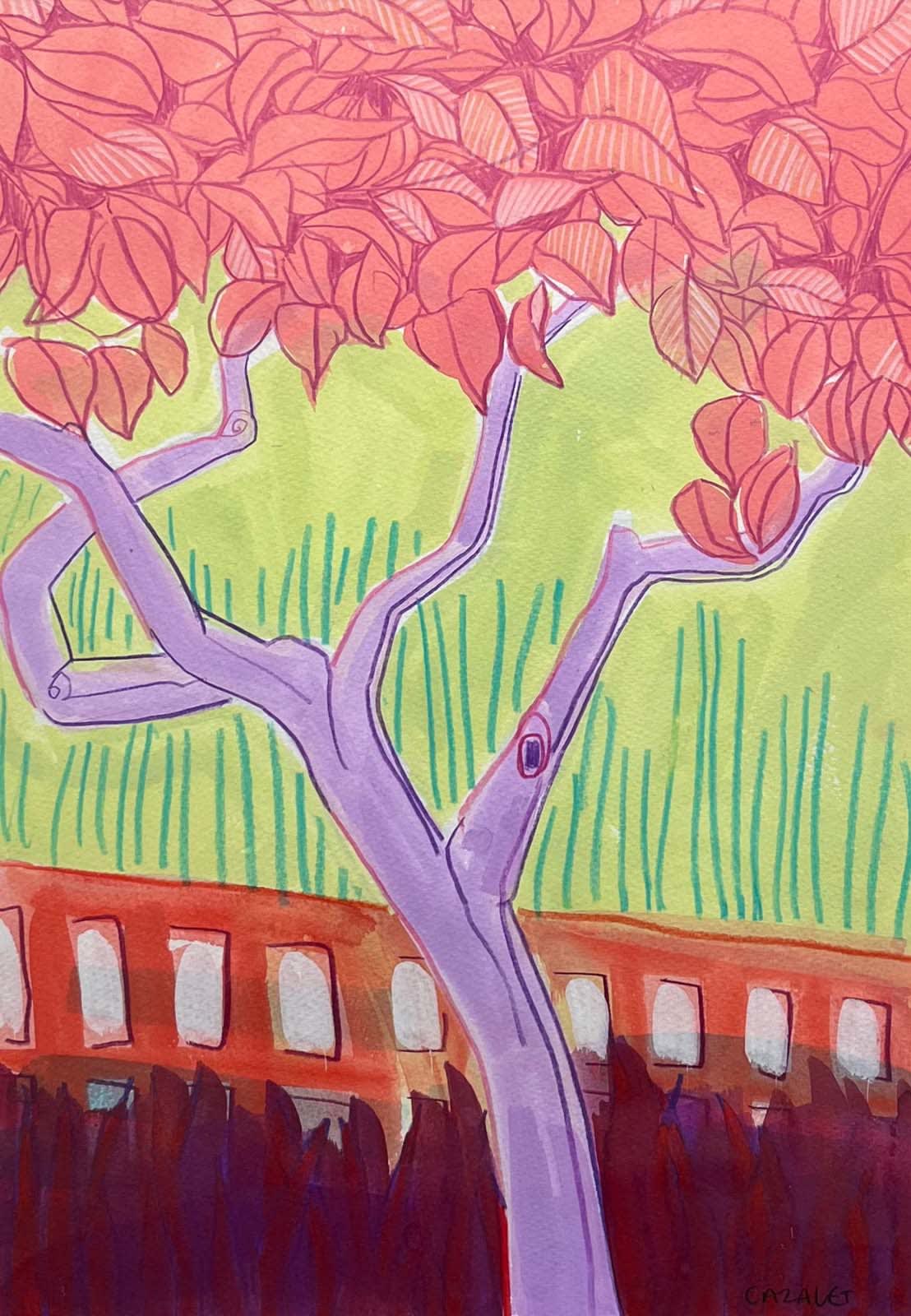Catherine Cazalet, Pink and Purple