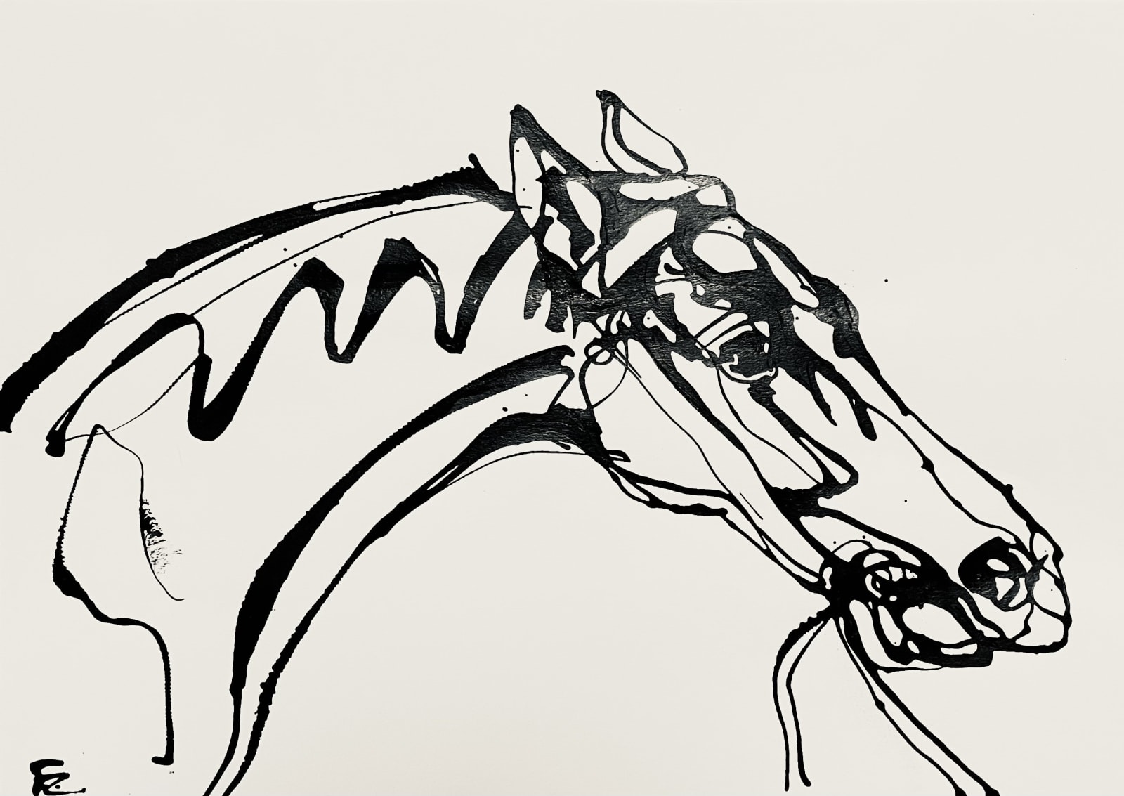 Fred Clark, Arab Horse