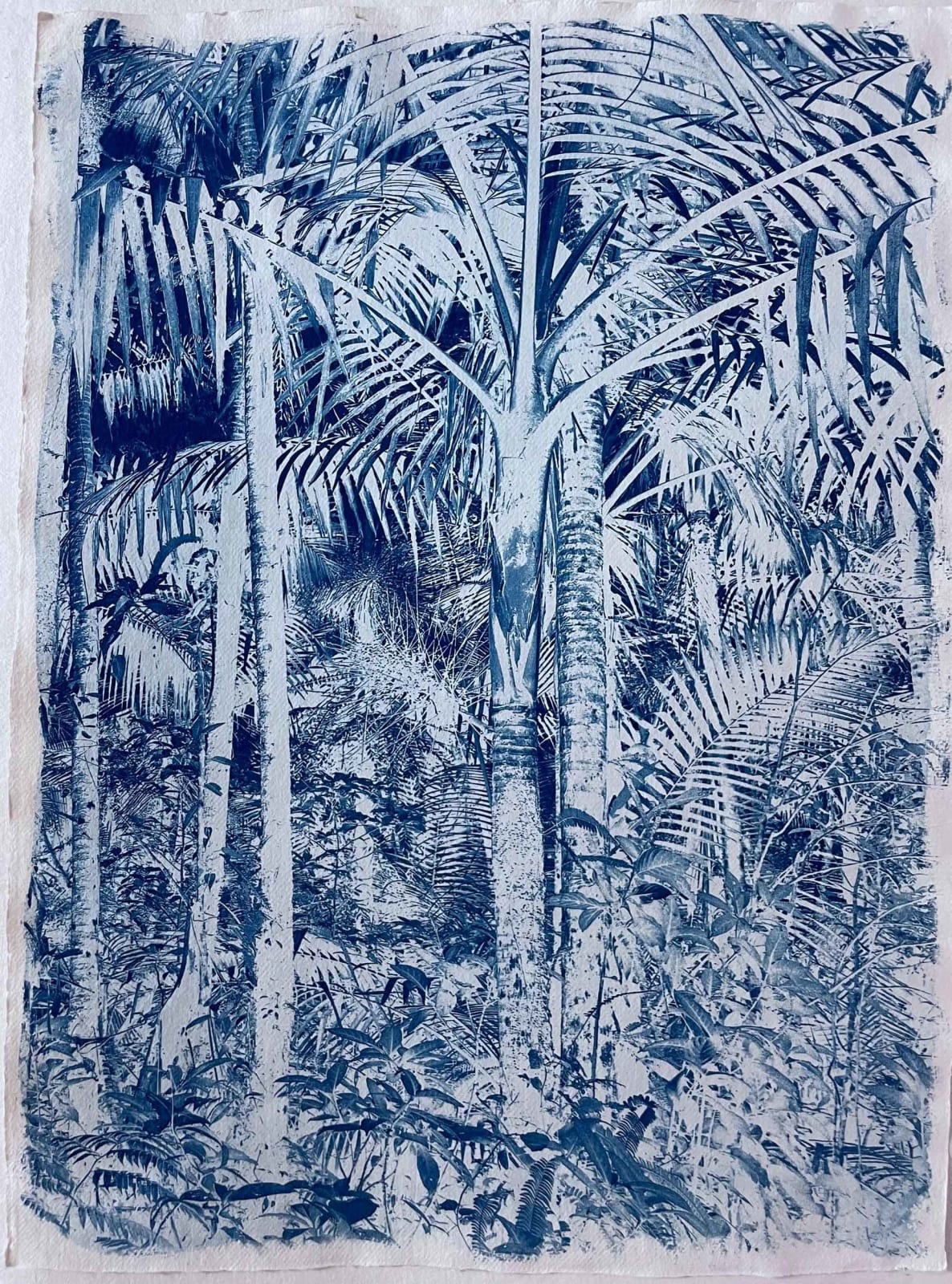 Georgia Merton, Pequenito Yunque