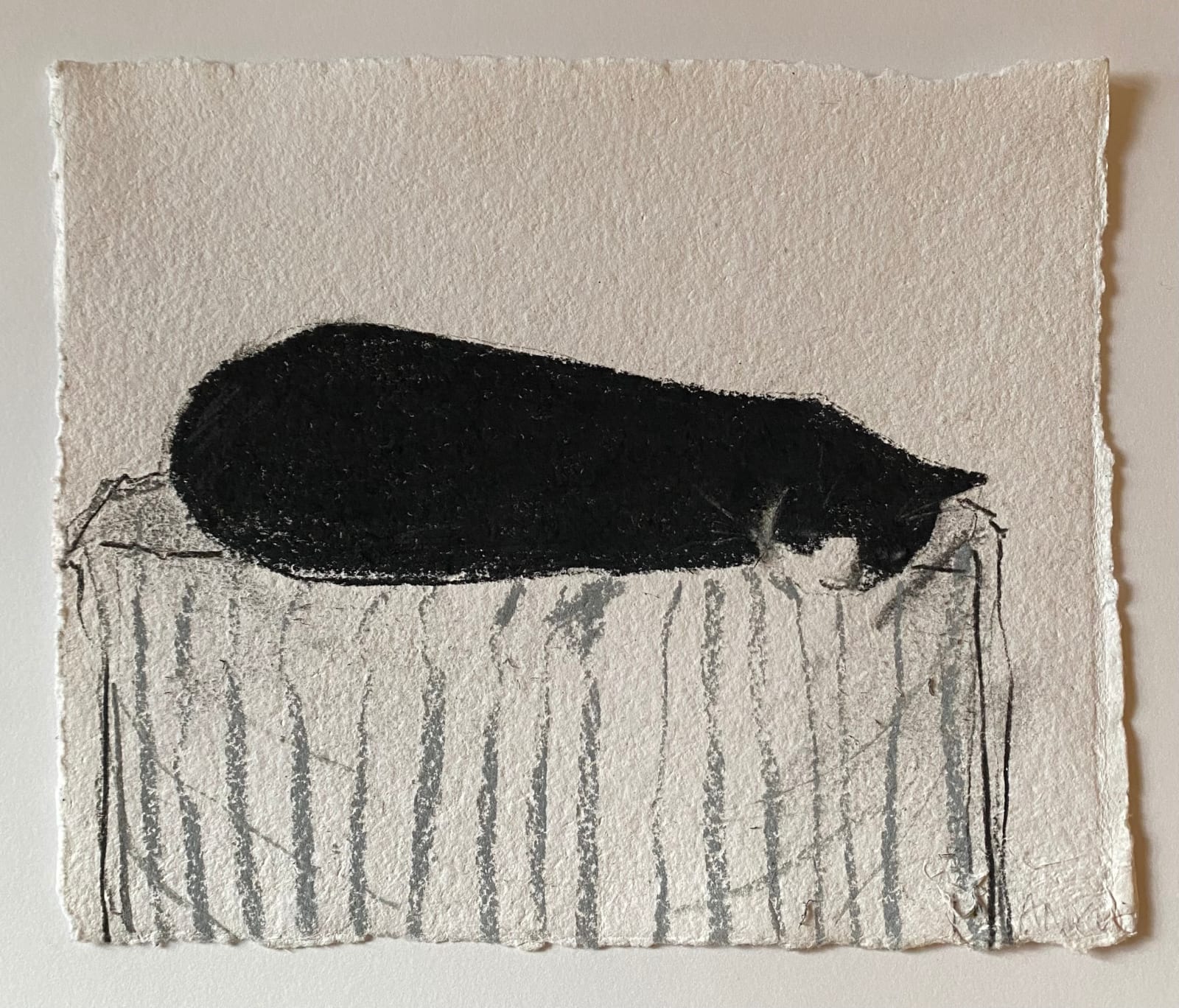 Amelia McComb, Stanley (on the radiator)