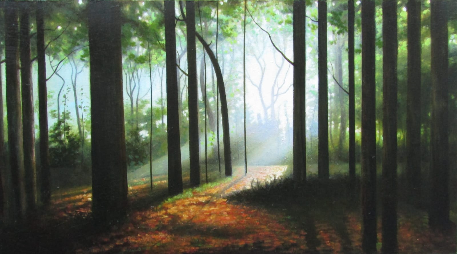 Louis McNally, Sunlit Woods