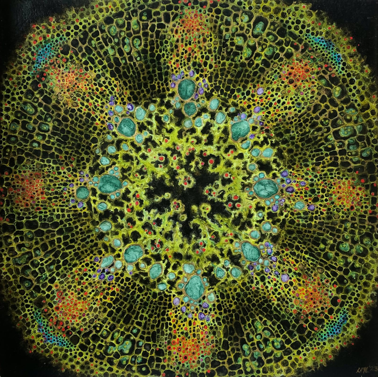 Louise Lacaille, Core