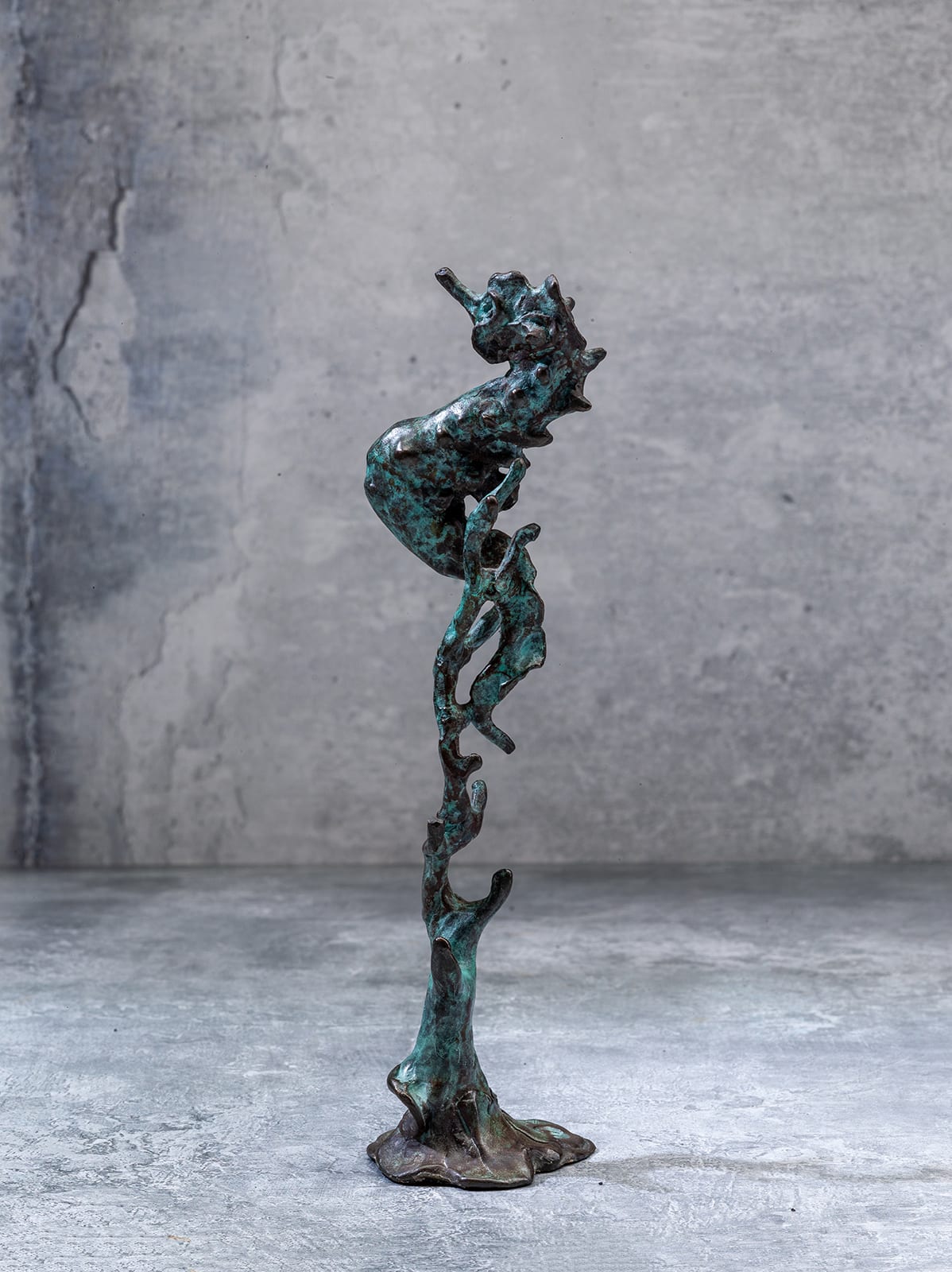 Jennie McCall, Small Bronze Seahorse
