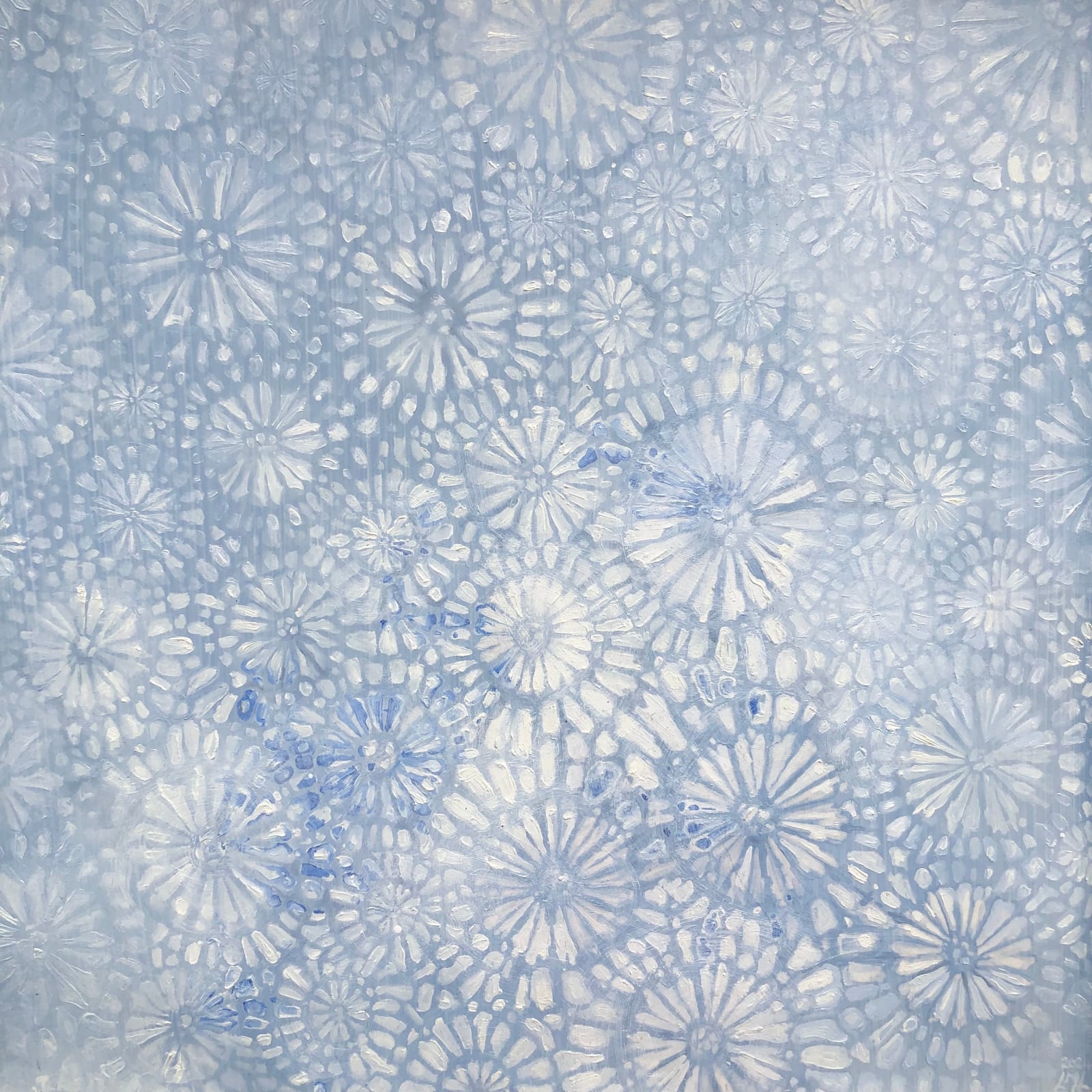 Louise Lacaille, Mineral Reef