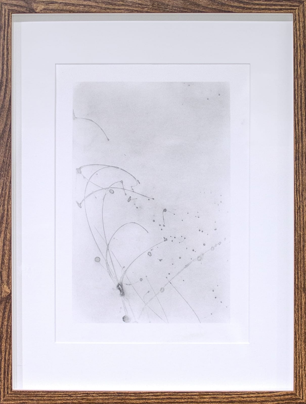 Sophia Pauley, Stream Series I