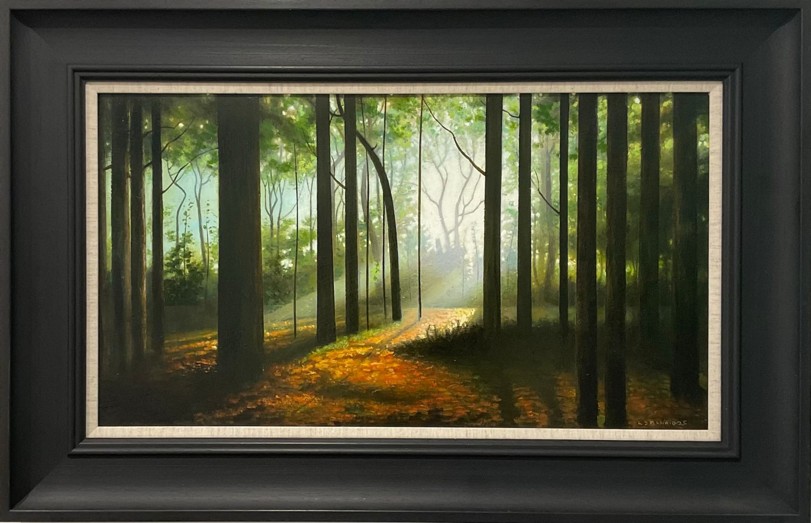 Louis McNally, Sunlit Woods
