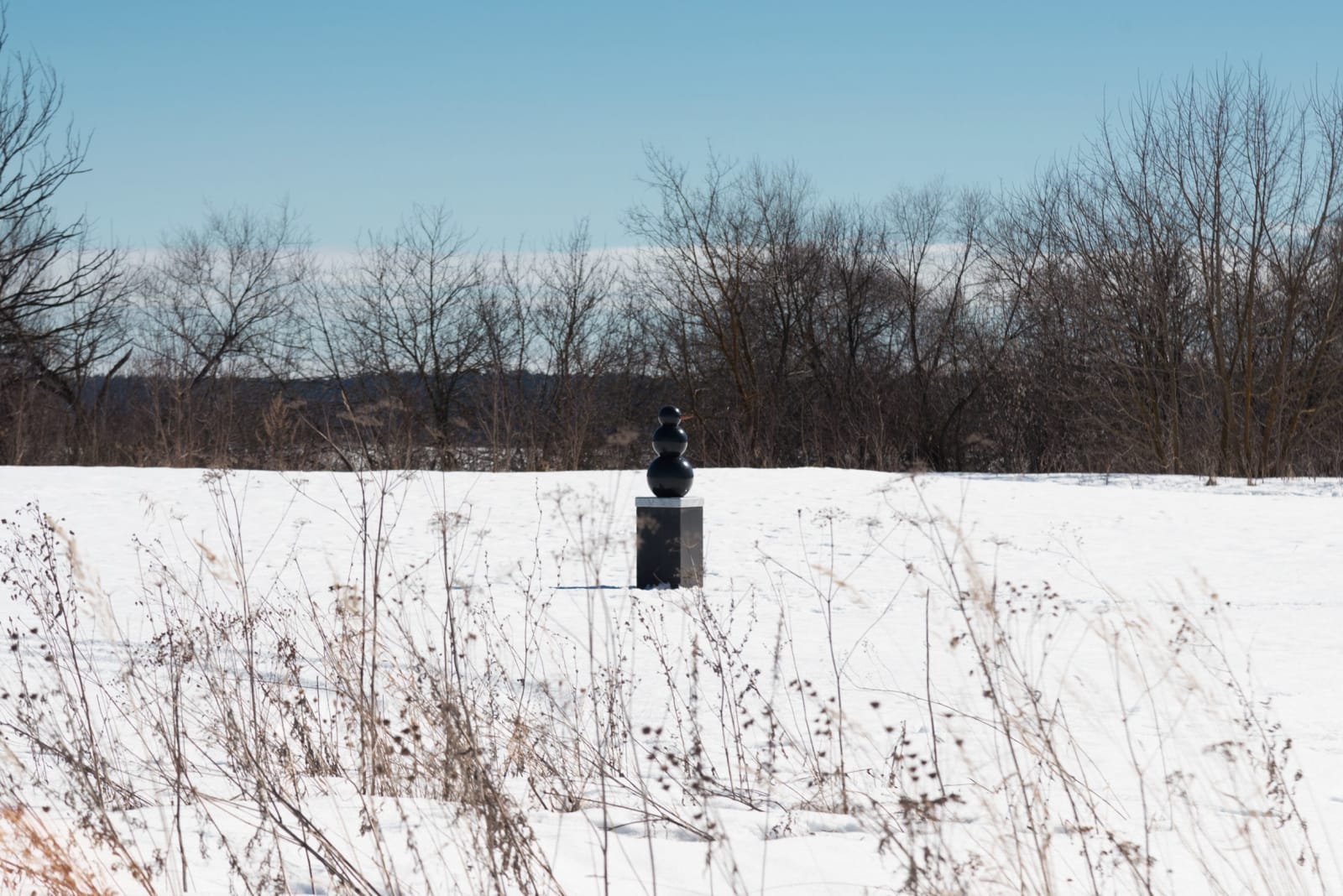 Katerina Kovaleva, BSM. BLACK SNOW MATTERS • ЧЕРНЫЙ СНЕГ ИМЕЕТ ЗНАЧЕНИЕ , 2019