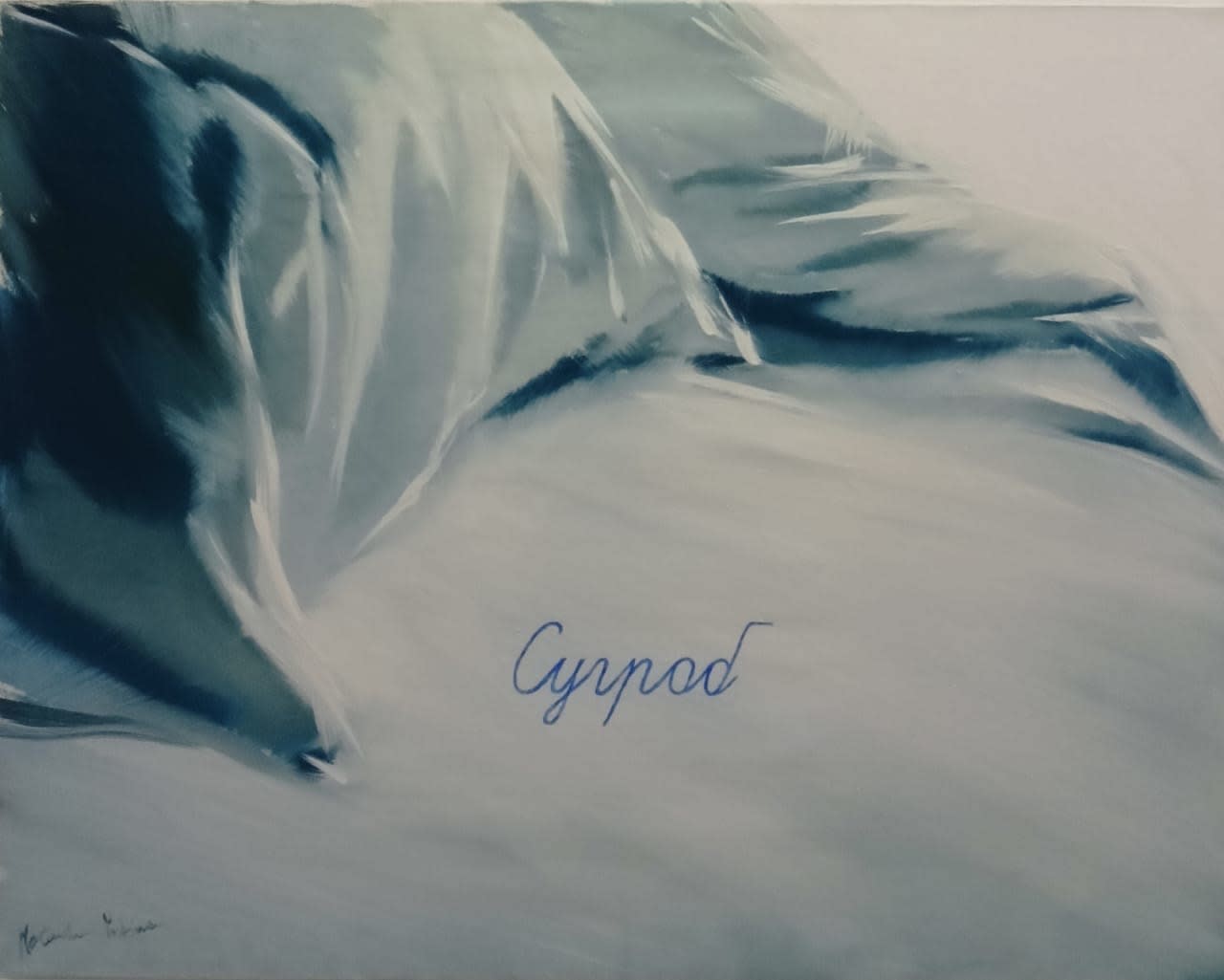 Natasha Yudina, SNOWDRIFT • СУГРОБ, 2012