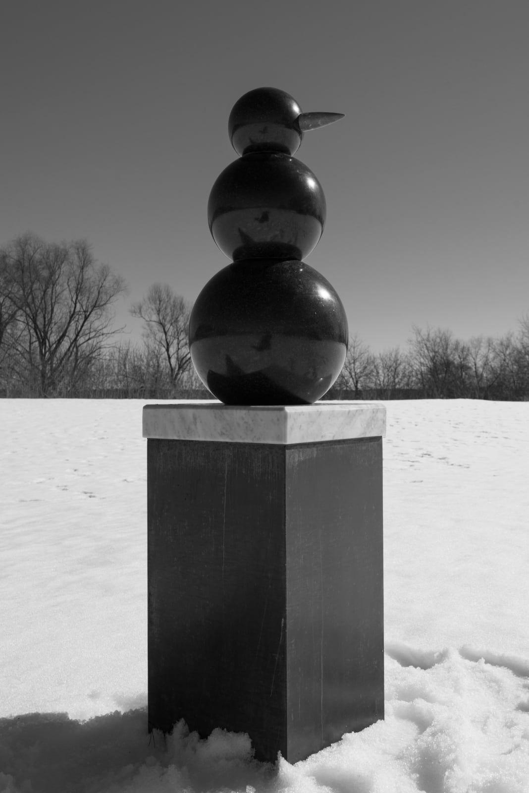 Katerina Kovaleva, BSM. BLACK SNOW MATTERS • ЧЕРНЫЙ СНЕГ ИМЕЕТ ЗНАЧЕНИЕ , 2019