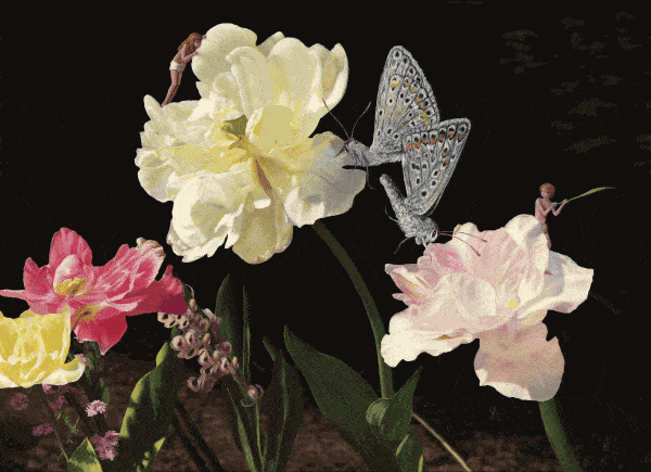 Alexander Zakharov, THE COMMON BLUES • БАБОЧКИ ГОЛУБЯНКИ, 2019