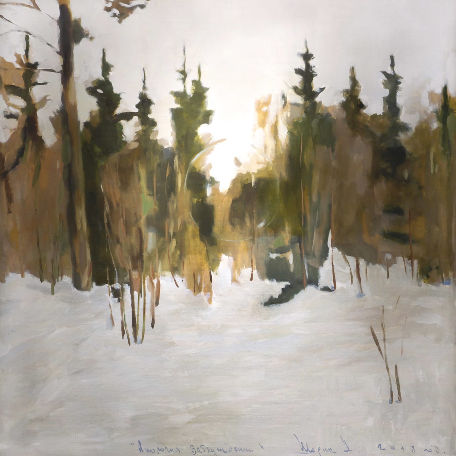 Dmitry Shorin, АПОЛОГИЯ ЗАБЛУЖДЕНИЙ , 2017