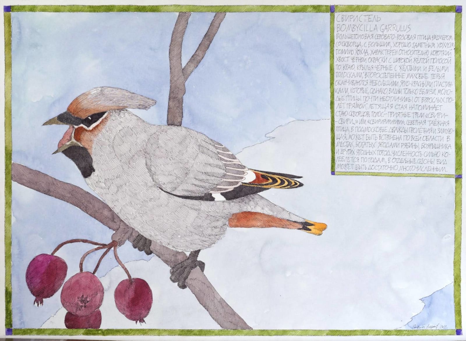 Nikita Alekseev, WAXWING • СВИРИСТЕЛЬ / THE WAXWING TRANSPARENT • ПРОЗРАЧНЫ, 2012
