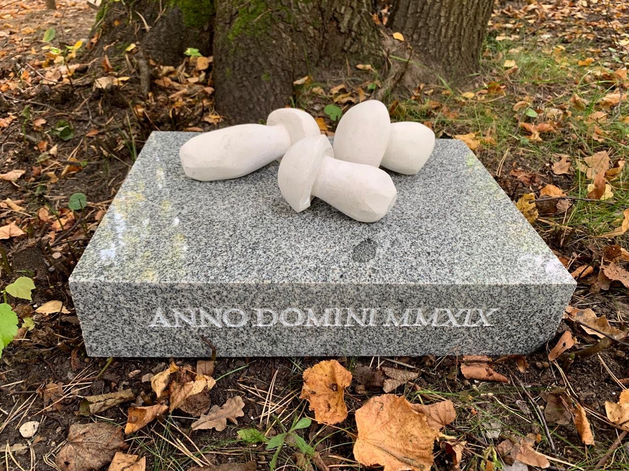 Katerina Kovaleva, ANNO DOMINI MMXIX. WHITE MUSHROOM • ЛЕТО ГОСПОДНЕ 2019. БЕЛЫЕ ГРИБЫ, 2019