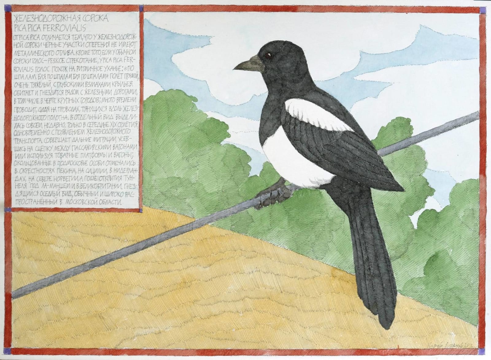Nikita Alekseev, MAGPIE • СОРОКА / RAILWAY MAGPIE • ЖЕЛЕЗНОДОРОЖНАЯ СОРОКА, 2012