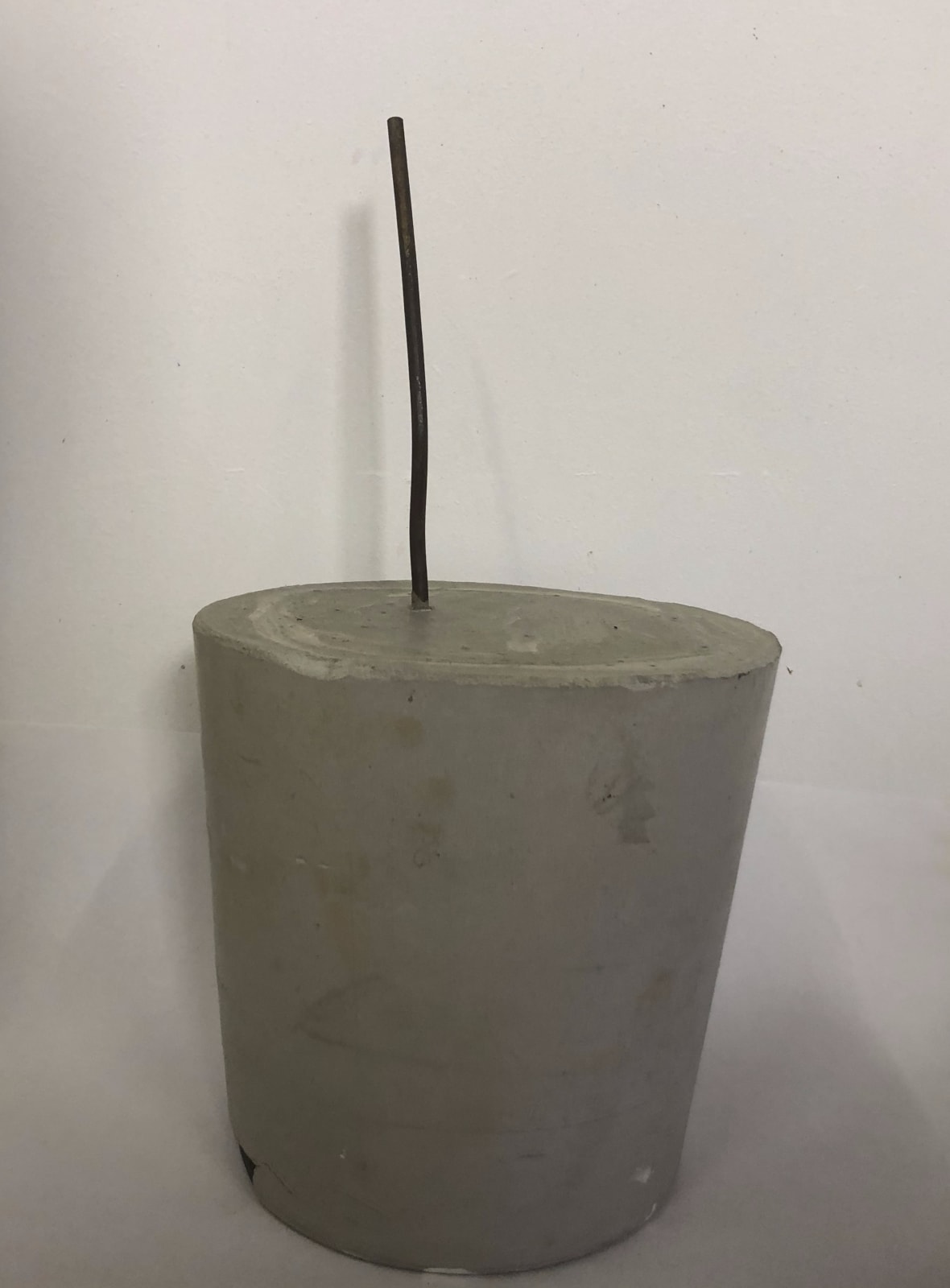 Anya Zholud, HOUSEPLANT • КОМНАТНОЕ РАСТЕНИЕ