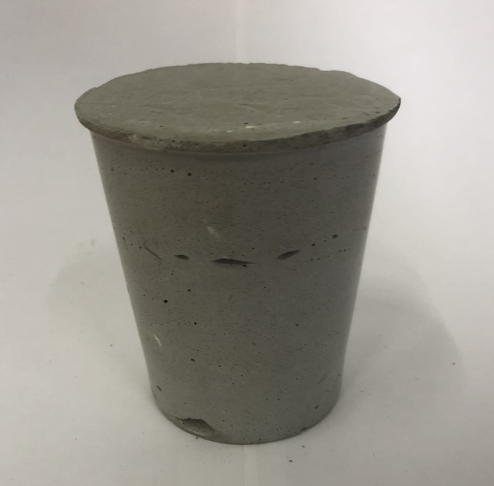 Anya Zholud, HOUSEPLANT • КОМНАТНОЕ РАСТЕНИЕ