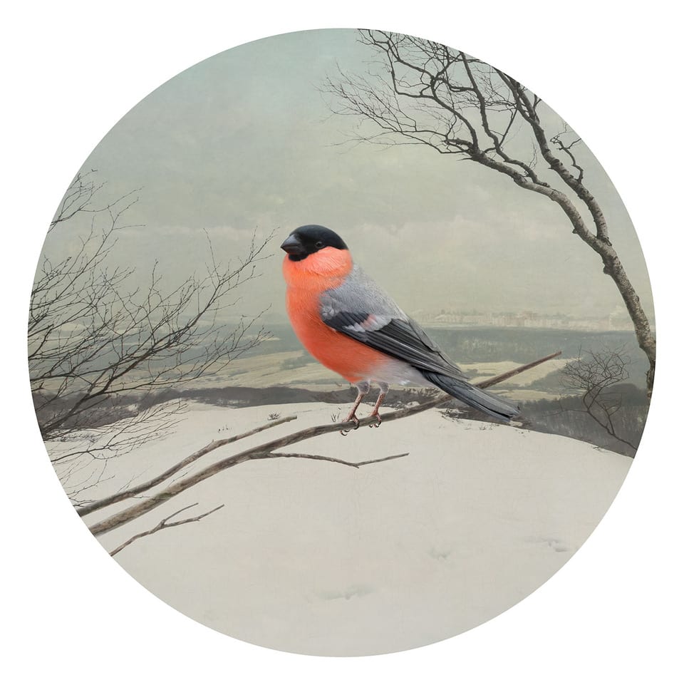 Katerina Belkina, ZIMA, 2017