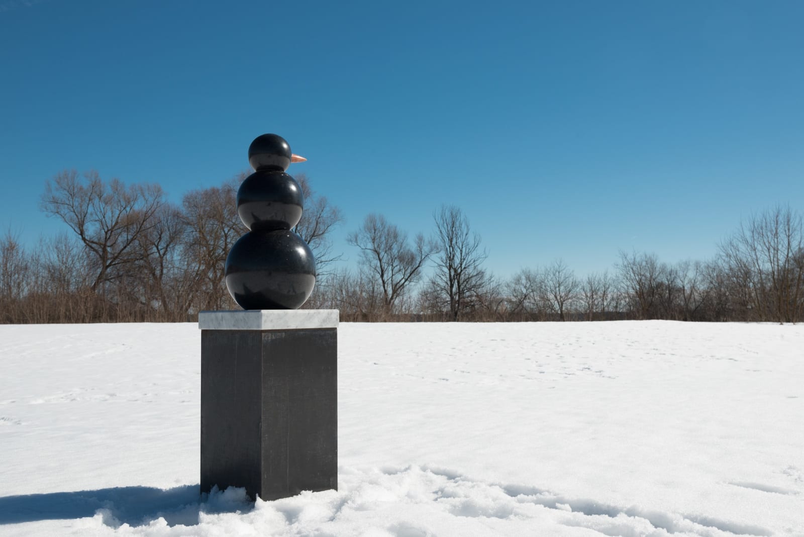 Katerina Kovaleva, BSM. BLACK SNOW MATTERS • ЧЕРНЫЙ СНЕГ ИМЕЕТ ЗНАЧЕНИЕ , 2019