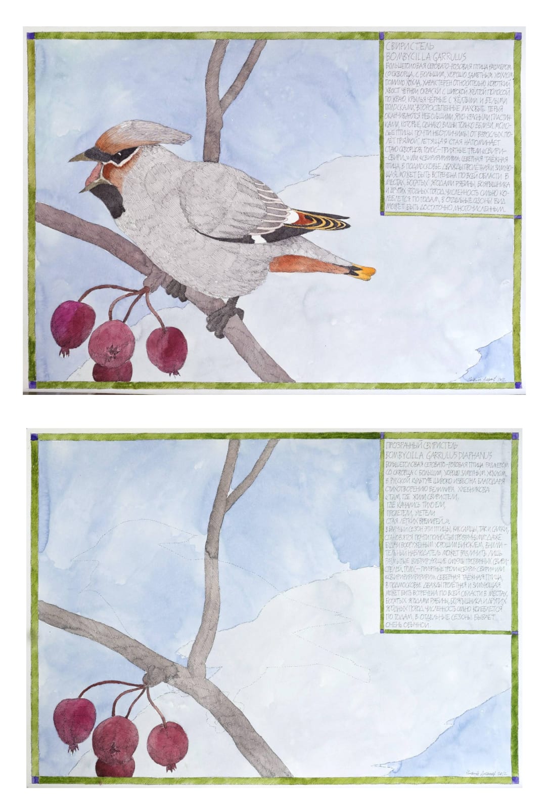 Nikita Alekseev, WAXWING • СВИРИСТЕЛЬ / THE WAXWING TRANSPARENT • ПРОЗРАЧНЫ, 2012