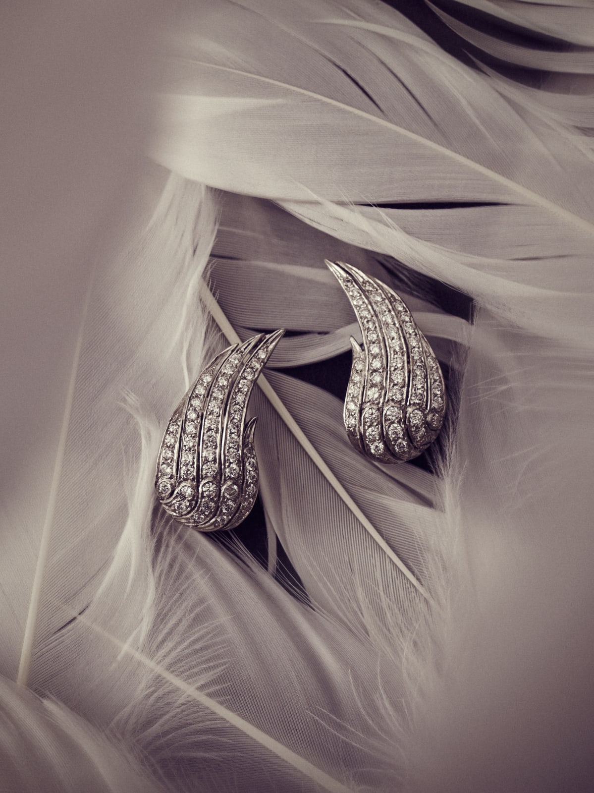 GRIMA, "Dürer Wings" Earrings - Pavé set platinum, 2025