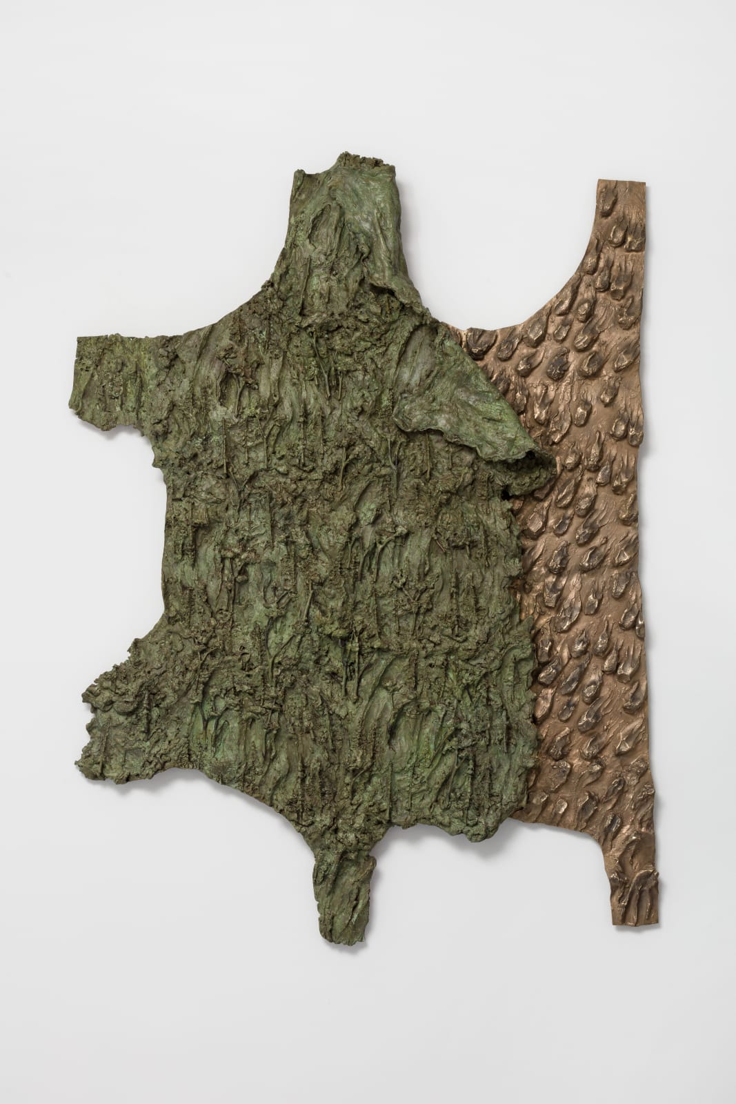 Lucy Skaer, Forest on Fire, 2020