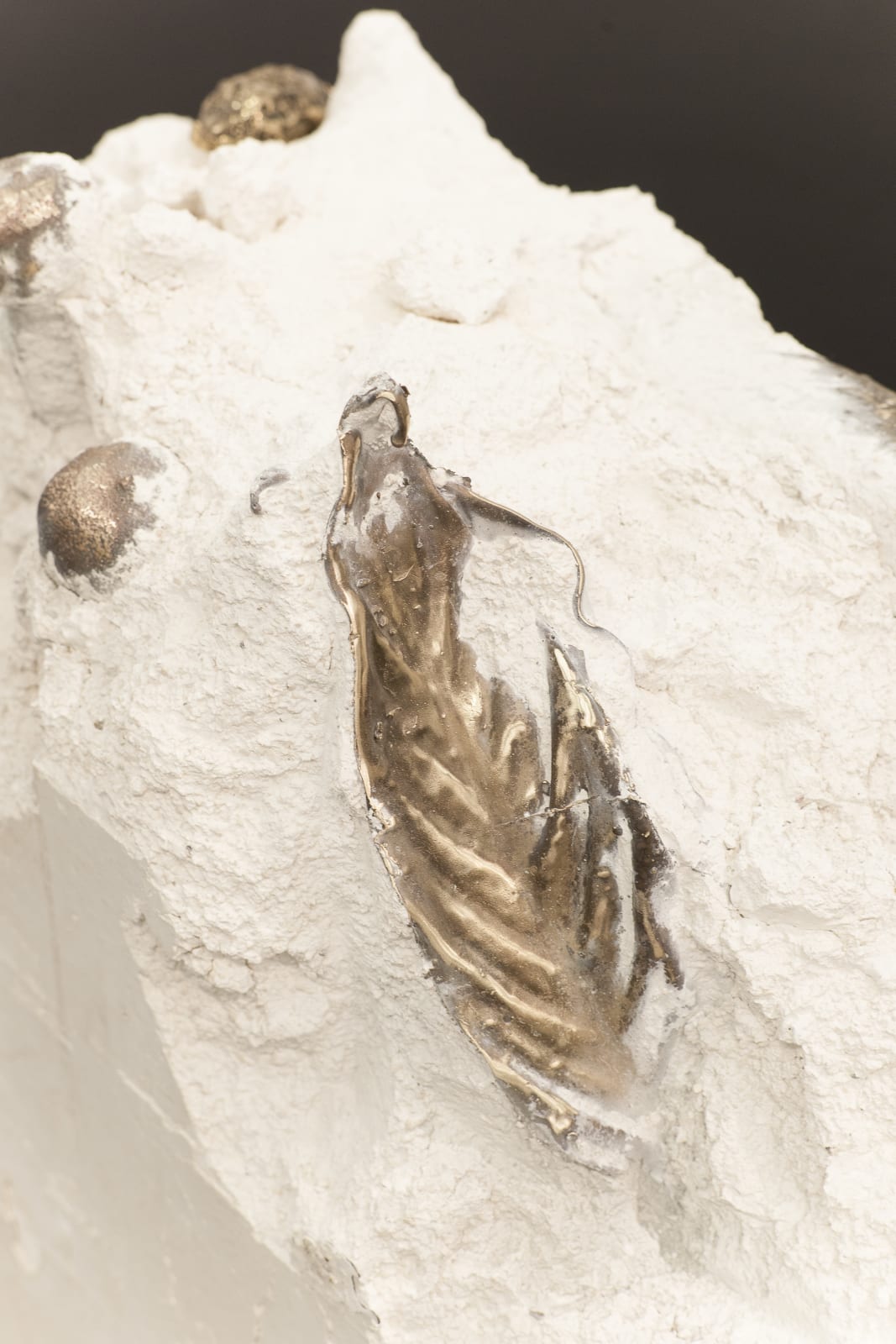 Saskia Noor van Imhoff, 2015