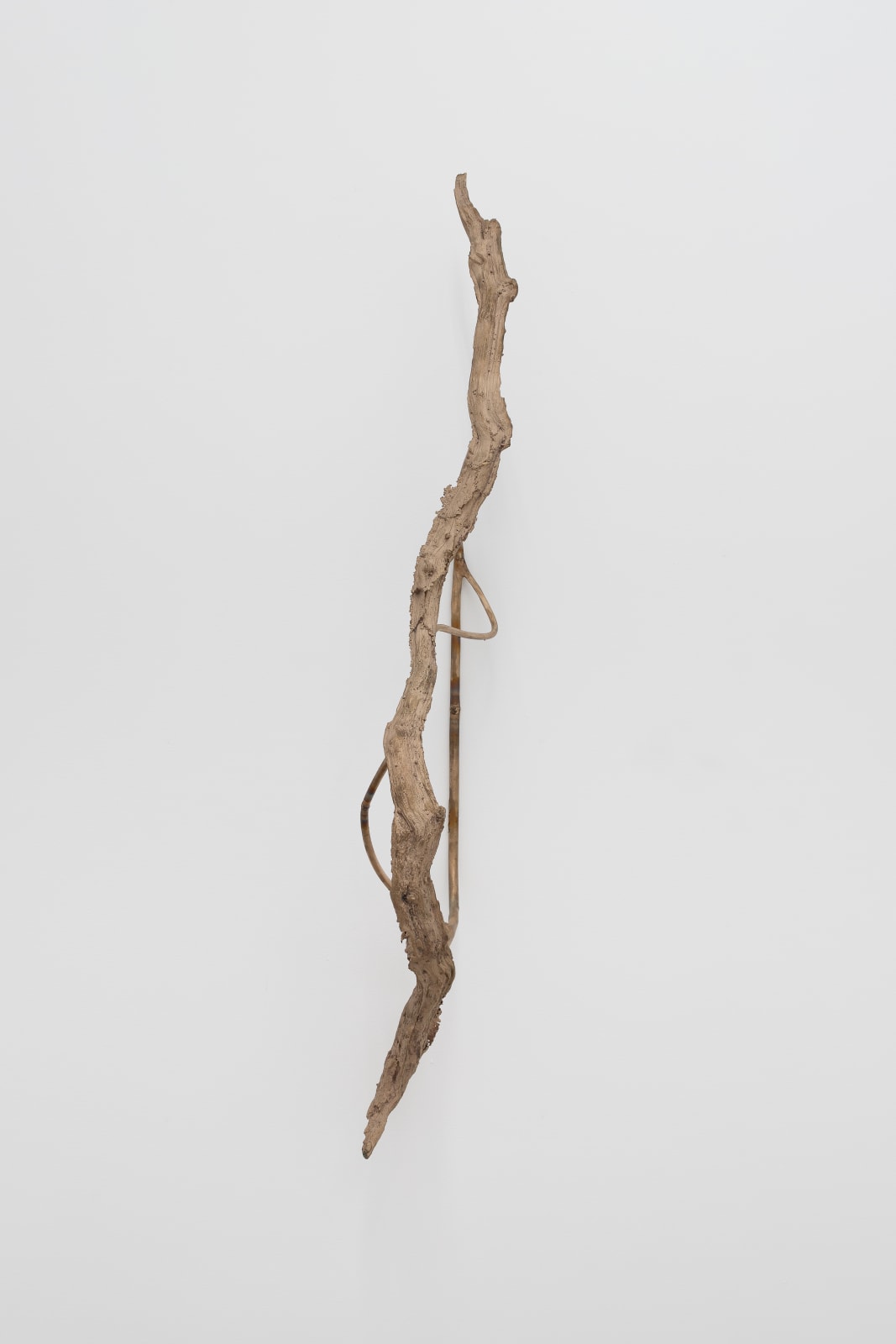 Saskia Noor van Imhoff, Sweet taste of reproduction, 2022