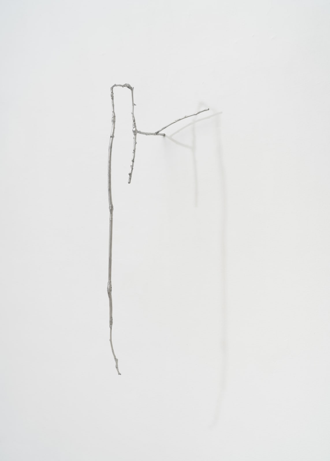 Saskia Noor van Imhoff, One Hour Outside (Warre), 2024