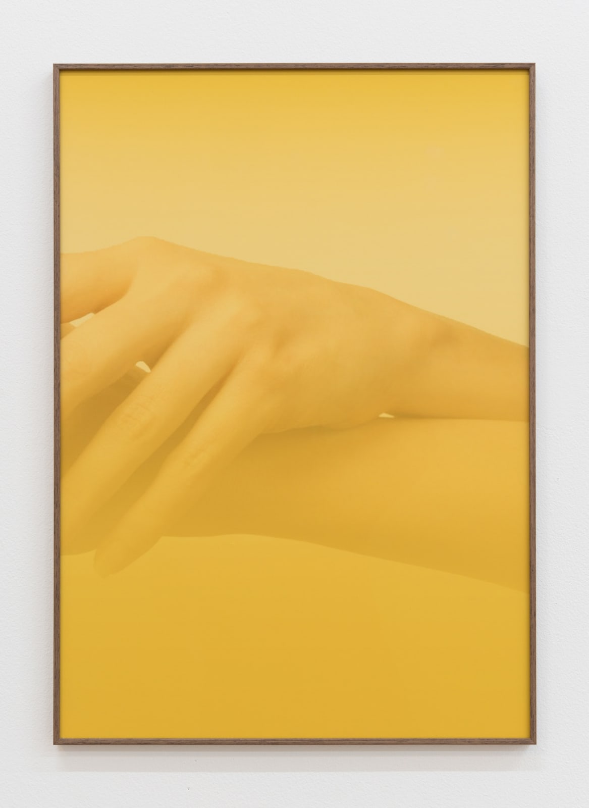 Saskia Noor van Imhoff, #+26.04, 2016