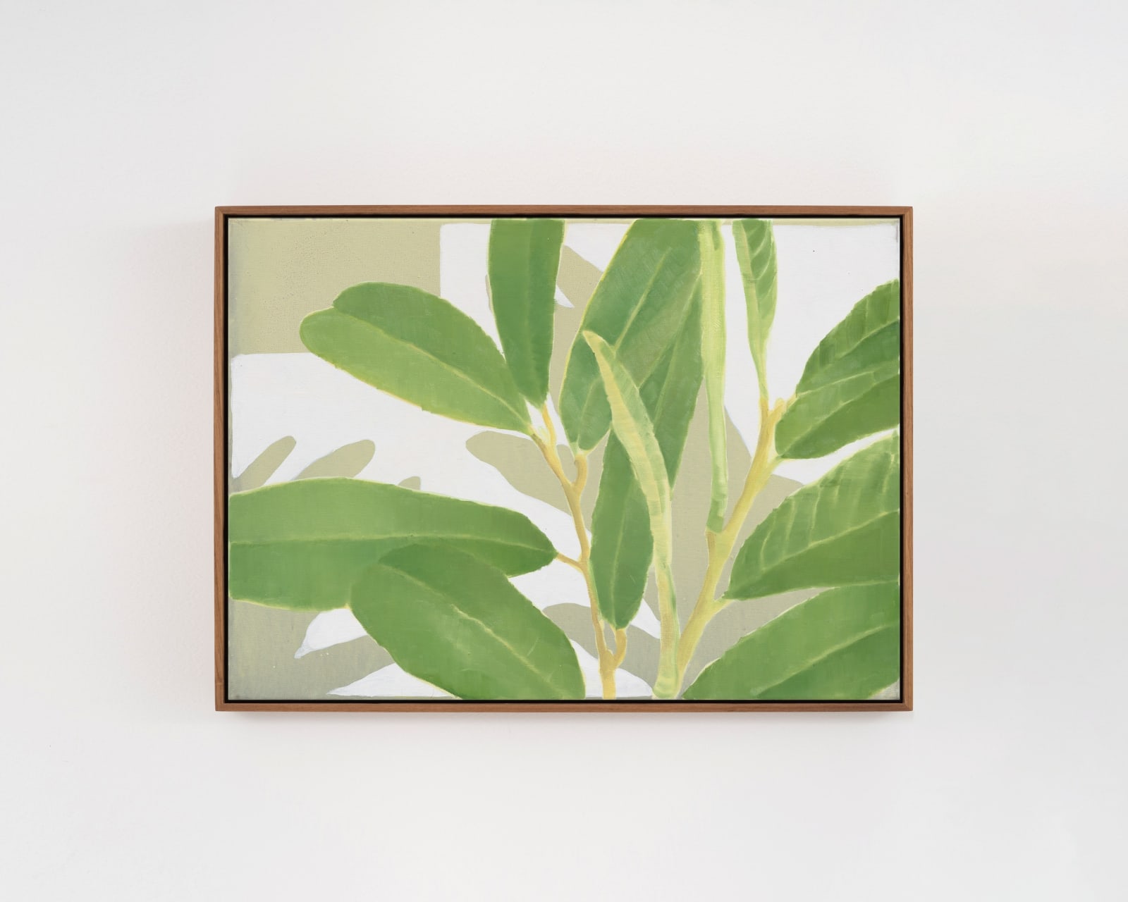 Ciarán Murphy, privit, 2023