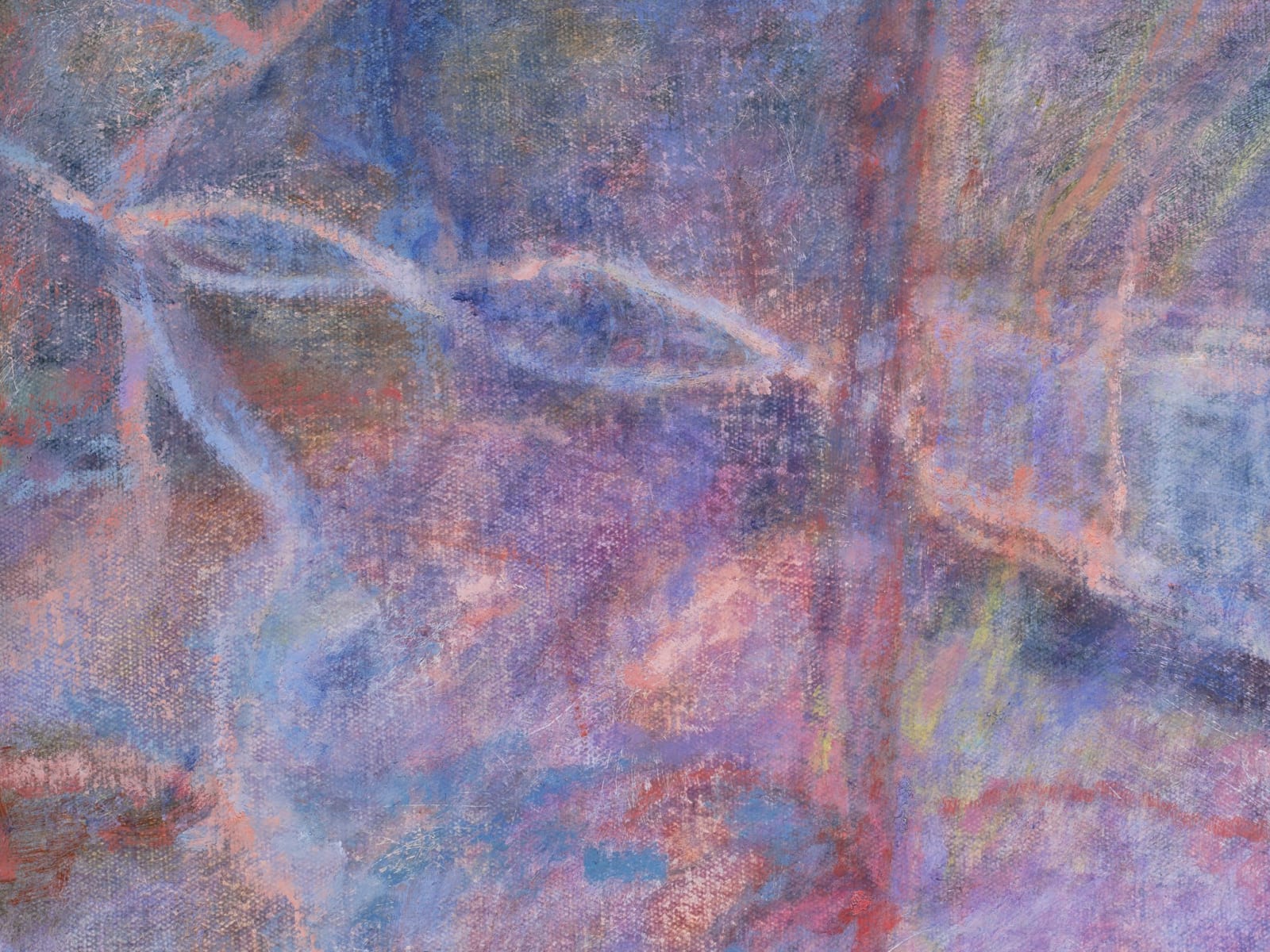 Sophie Birch, Glare, 2025