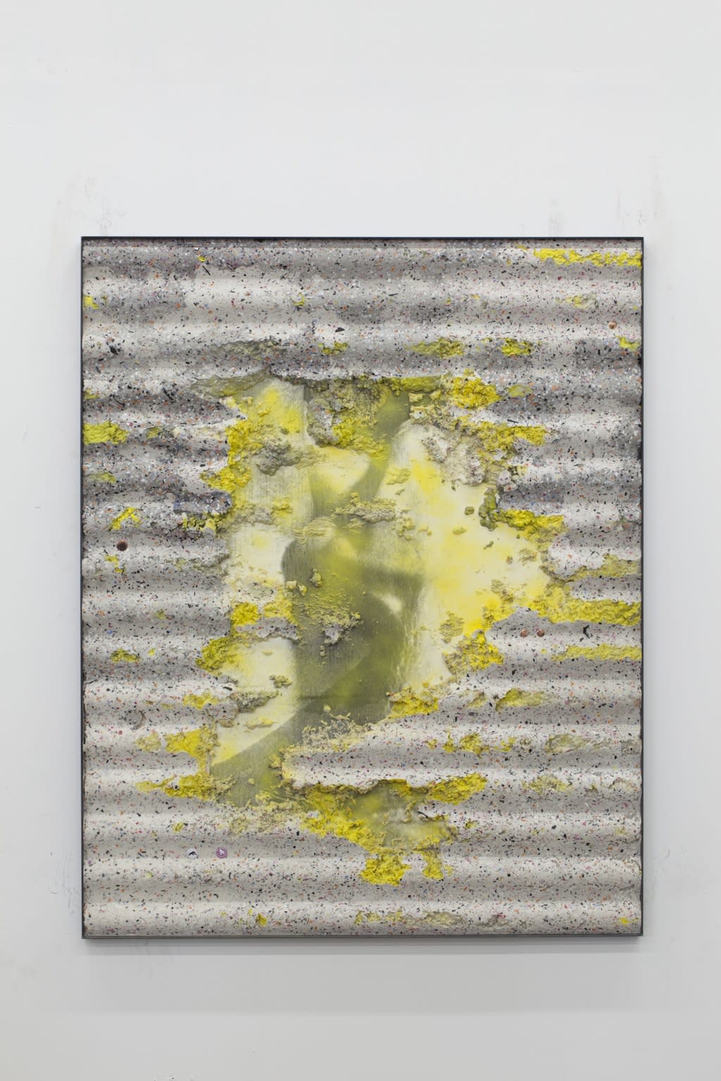 Nick van Woert, Trapezeus Pinch, 2014