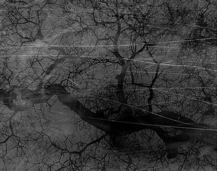 Dirk Braeckman, V.C.-L.M.-24, 2024